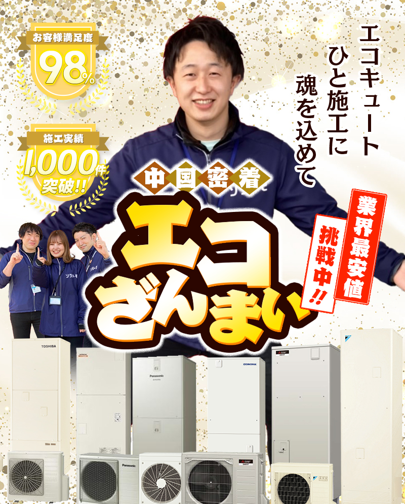 エコざんまい